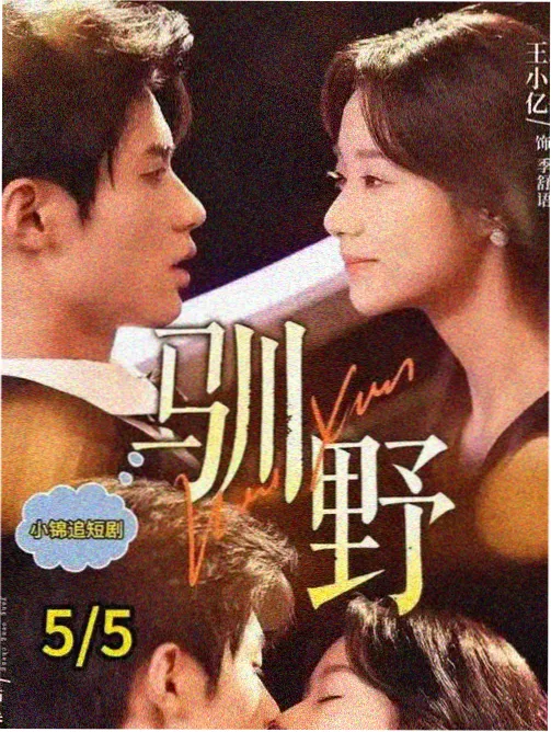 美少女战士动漫剧场版特典影像档案封面